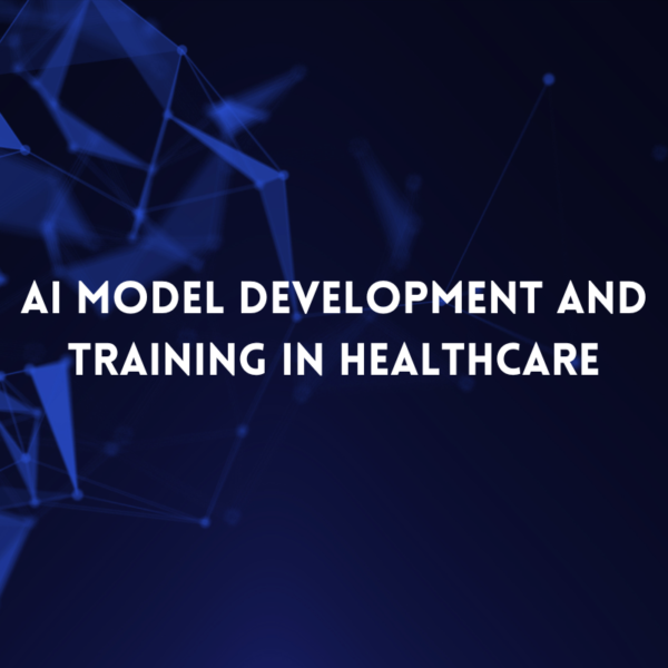 AI Model Development and Training in Healthcare