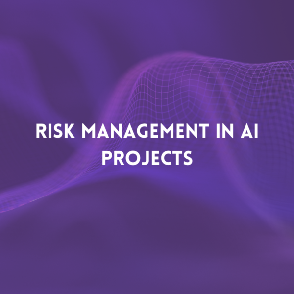 Risk Management in AI Projects