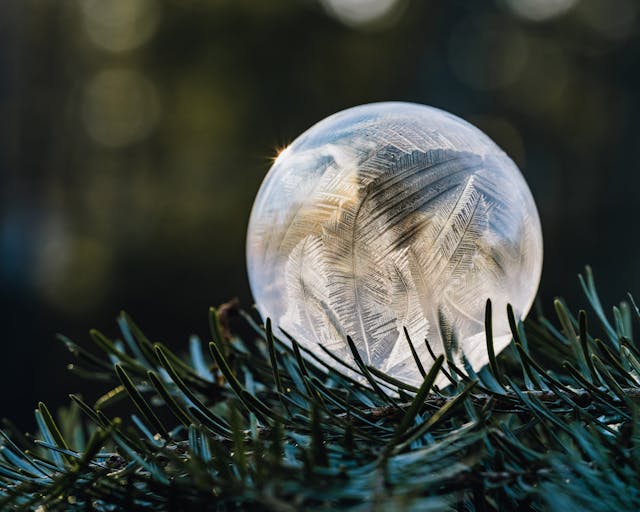 A frozen globe of ice, resembling a glass ornament, hangs from a fir tree branch in a snowy forest, illustrating the concept of "explainable AI" in healthcare. The frozen globe’s clear and transparent nature represents the transparency and understanding that AI systems should provide to clinicians and patients.